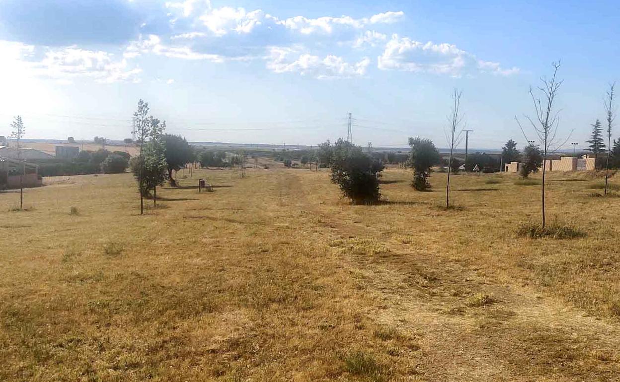 Carrascal de Barregas solicita la subvención ELTUR para poder contratar tres nuevos empleados