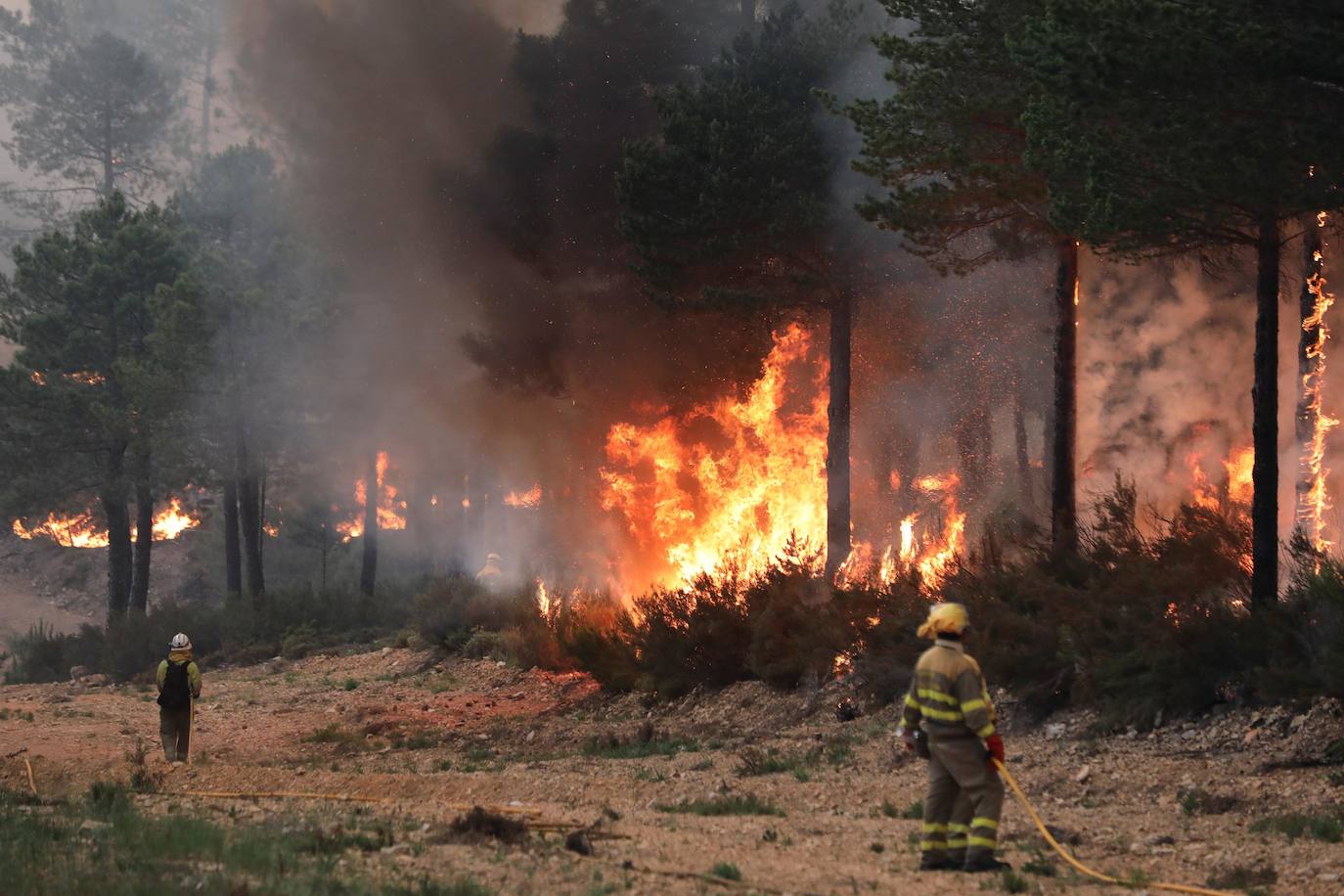 Fotos: Incendio en Serradilla del Arroyo