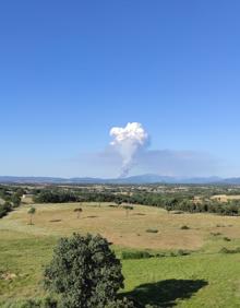 Imagen secundaria 2 - La columna de humo que genera el incendio puede verse a más de 30 km desde El Sahugo 