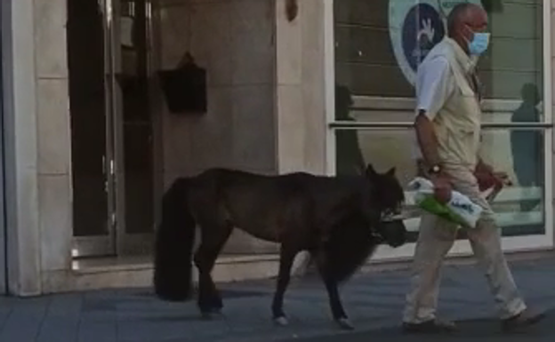 Un hombre abandona una administración de lotería con un caballo.