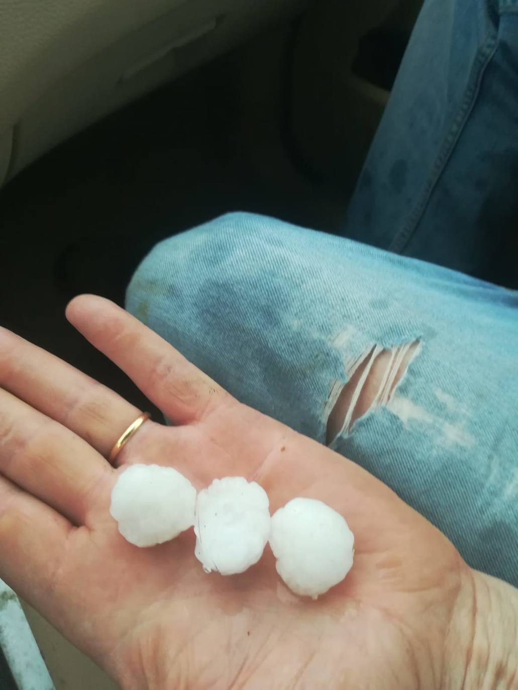 Los efectos del granizo se han dejado notar en los campos de Piñel de Abajo, en Valladolid. 