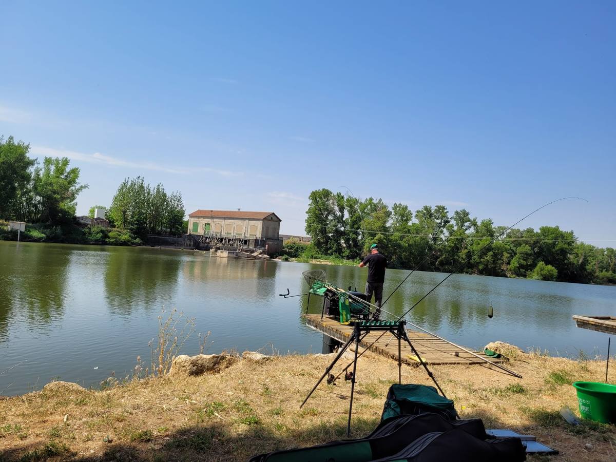 Fotos: Segunda jornada del XI Campeonato de España de Agua Dulce con cebador celebrada en San Miguel del Pino