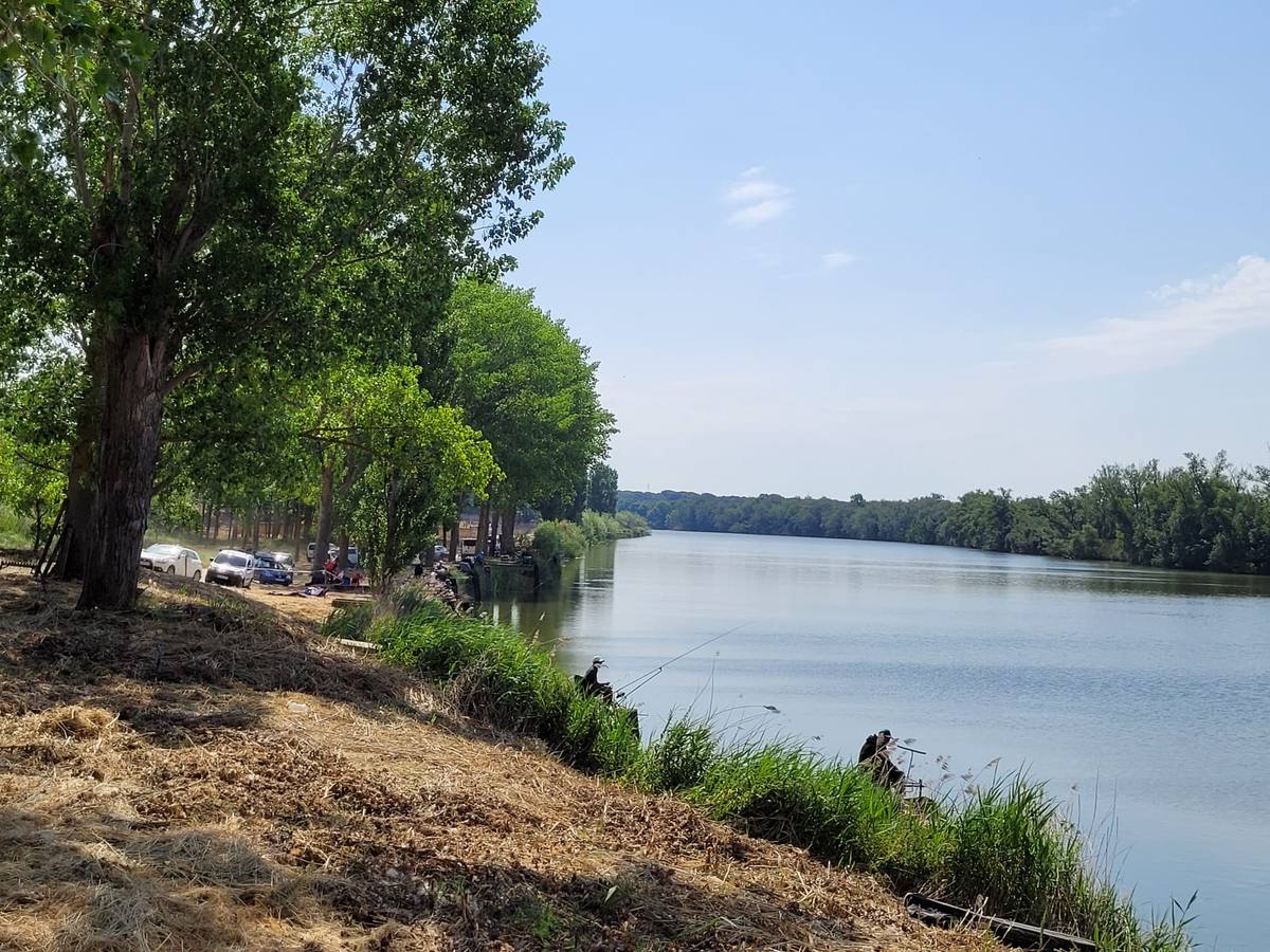 Fotos: Segunda jornada del XI Campeonato de España de Agua Dulce con cebador celebrada en San Miguel del Pino