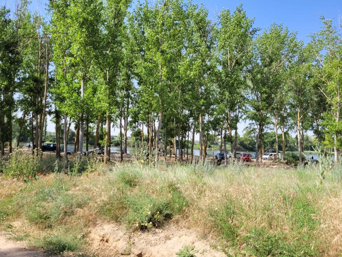 Fotos: Segunda jornada del XI Campeonato de España de Agua Dulce con cebador celebrada en San Miguel del Pino