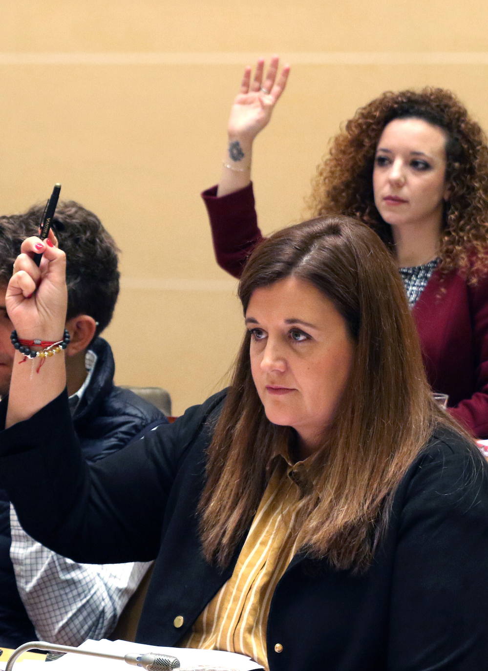 Imagen - «Hemos pedido a los grupos una visión global de cuidad»