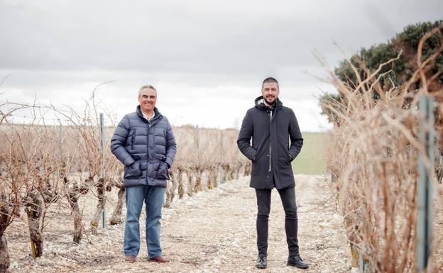 Hugo del Pozzo y Vicente Pliego, en un viñedo de Pinea. 