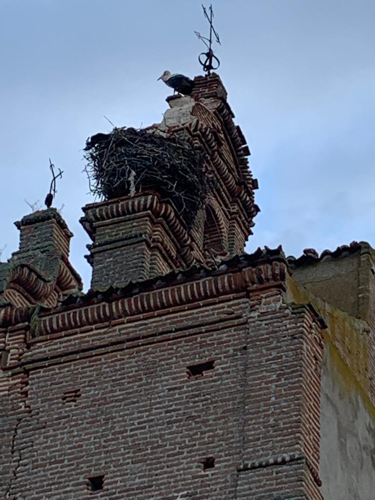 Fotos: Daños en la iglesia de Castrejón de Trabancos
