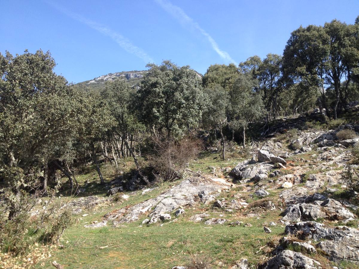 Fotos: Escapada a la Montaña Palentina: la magia de la Tejeda de Tosande