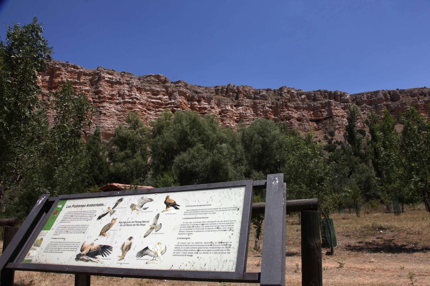 Parque Natural de las Hoces del río Riaza.