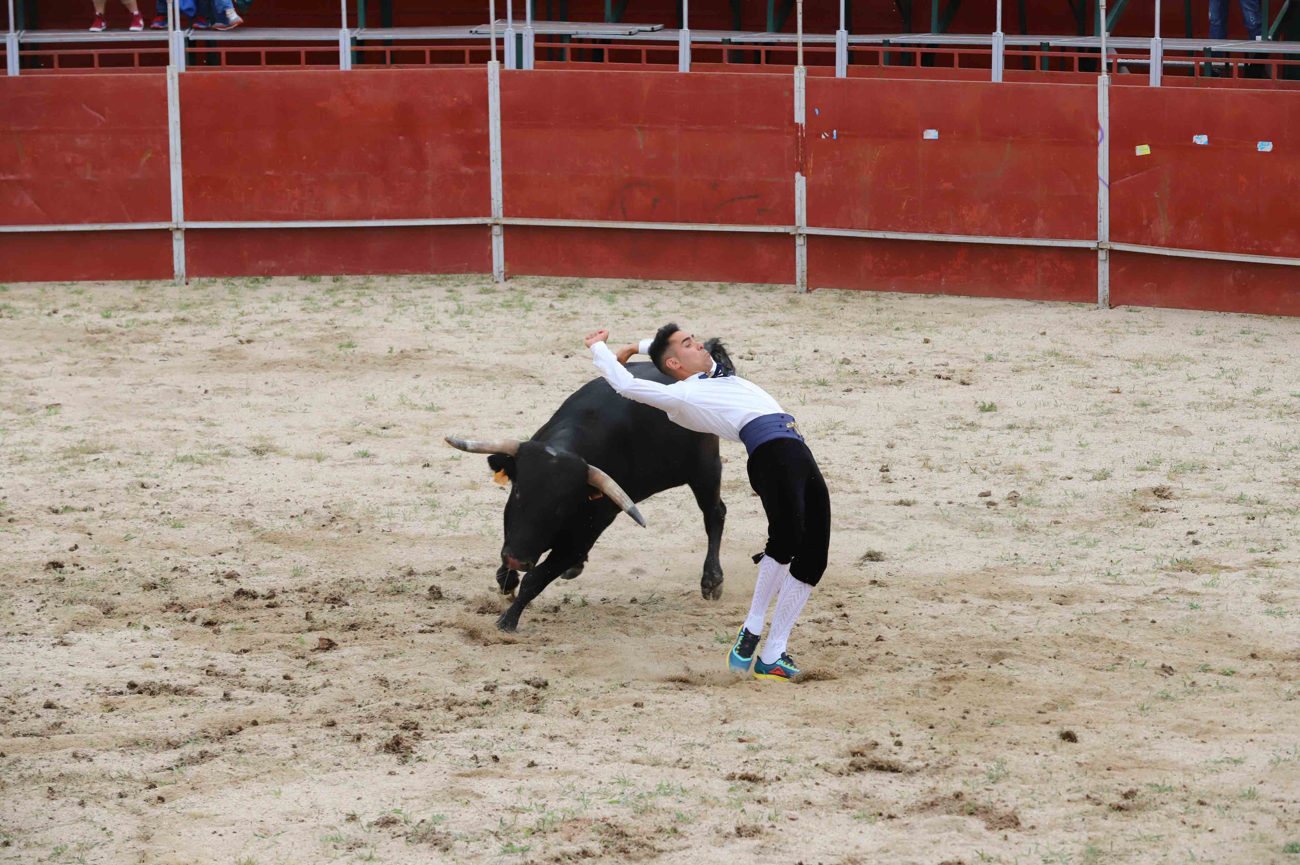 Concurso de recortes en Carrascal de Barregas