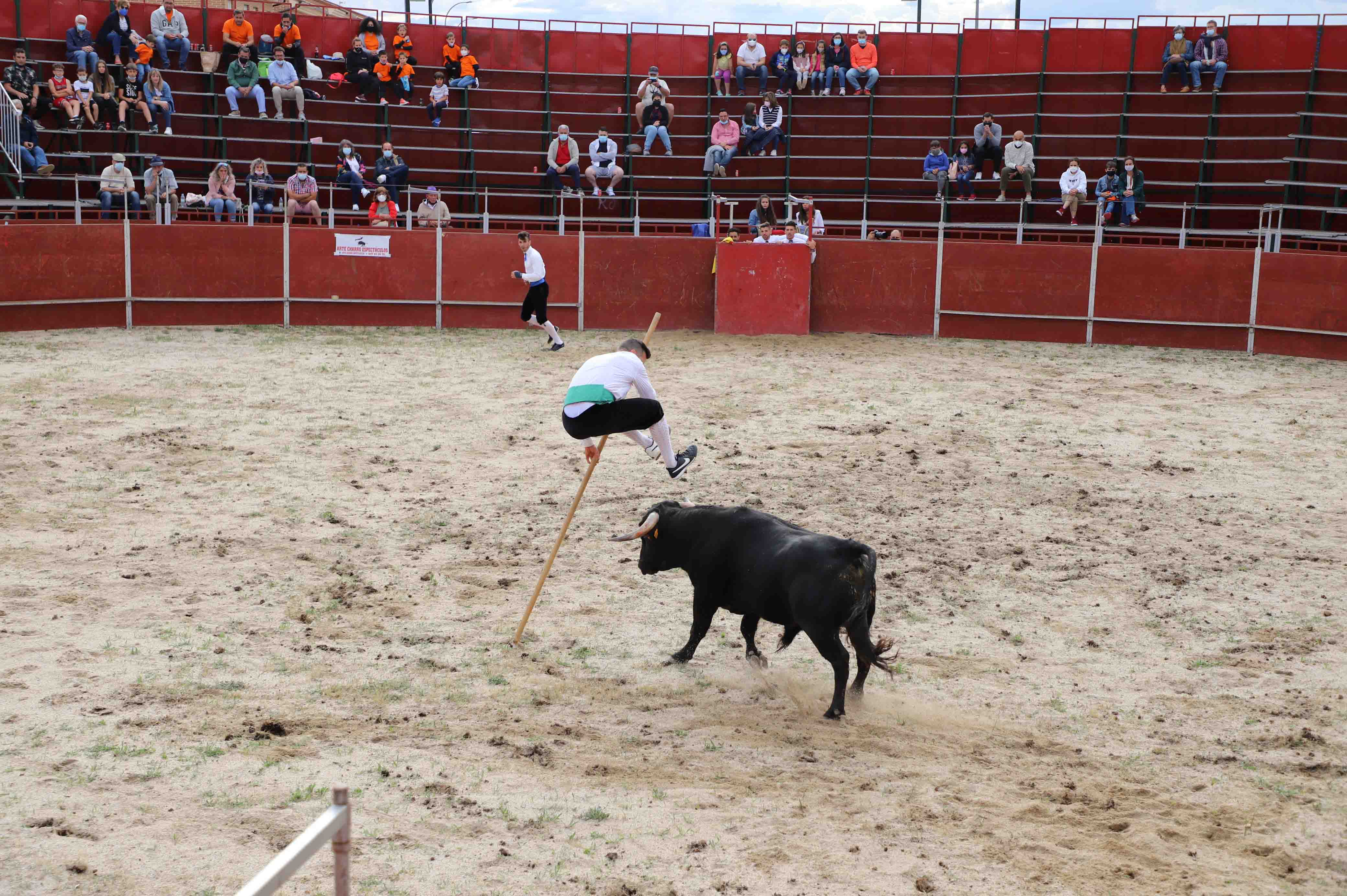 Concurso de recortes en Carrascal de Barregas