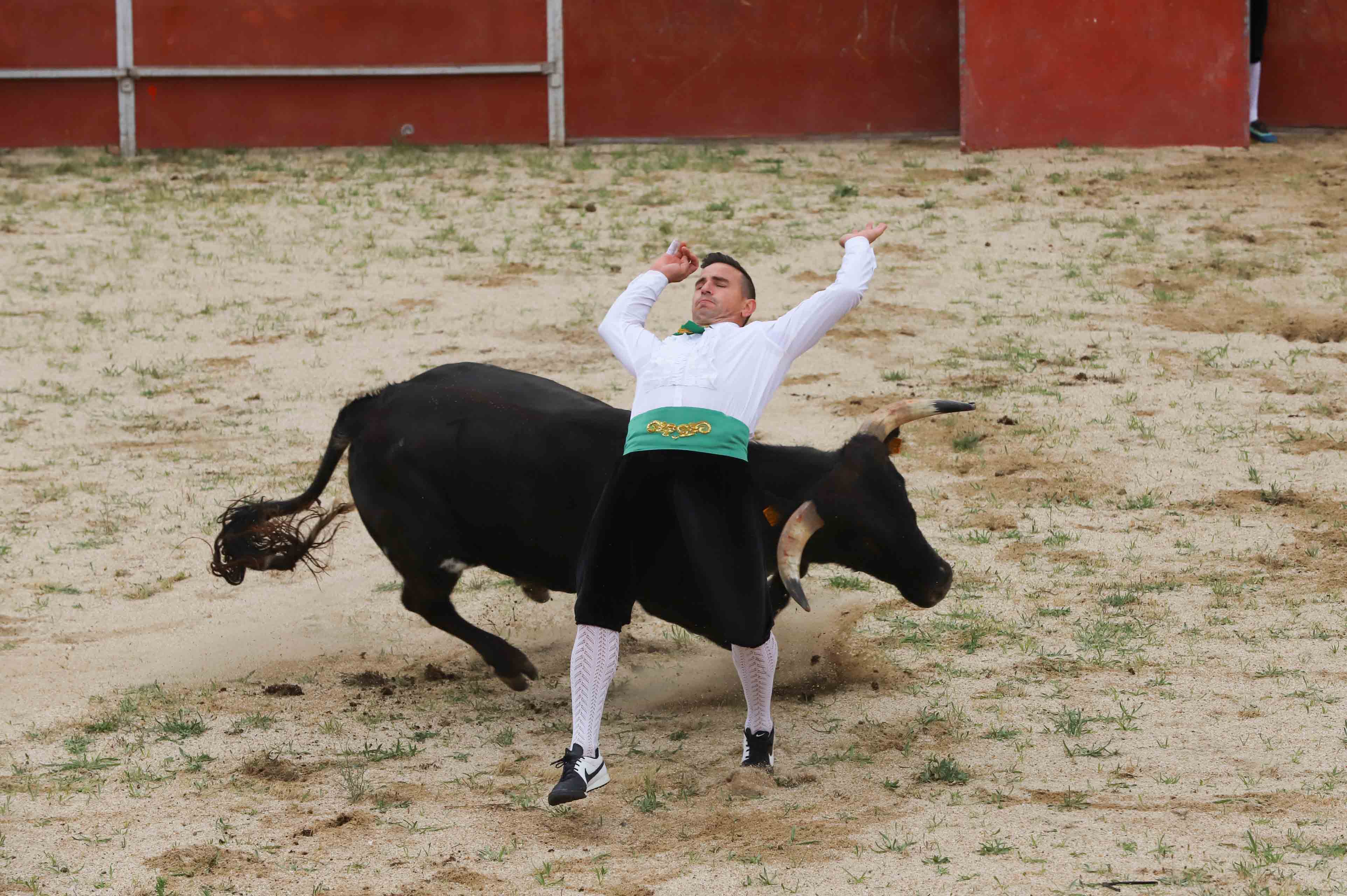 Concurso de recortes en Carrascal de Barregas