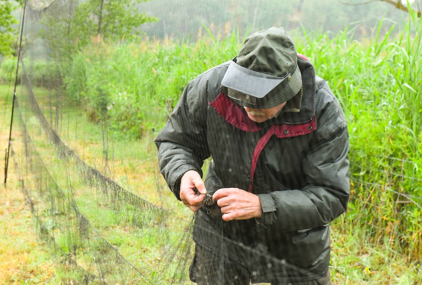 Fotos: Anillado de aves en Castronuño