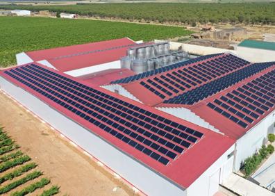 Imagen secundaria 1 - Instalaciones de autoconsumo realizadas por EiDF: de arriba a abajo, y de izquierda a derecha, SAT Cascalejos, Bodegas Copaboca y Chacinerías Díaz.