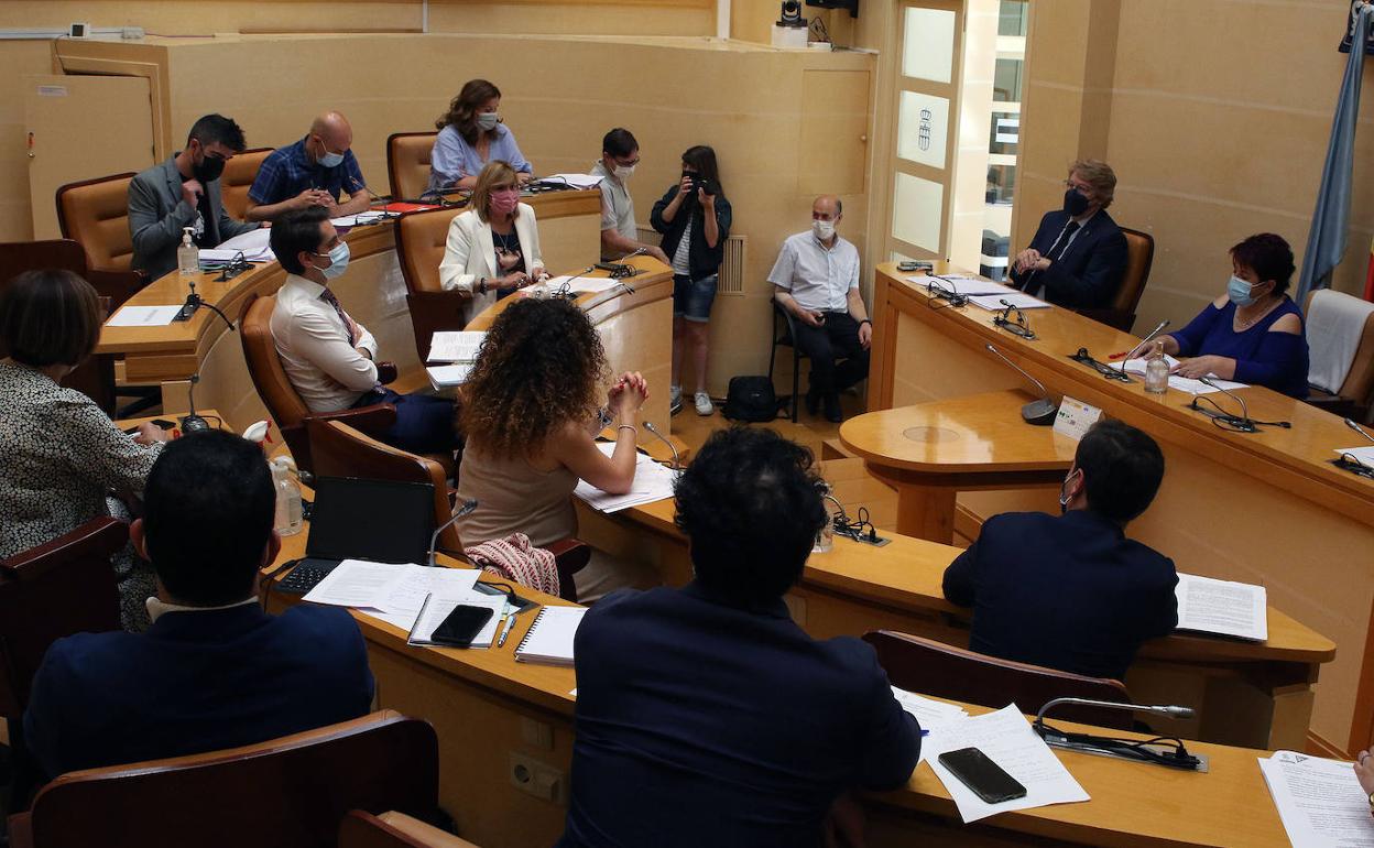 Pleno celebrado este viernes en el Ayuntamiento de Segovia. 