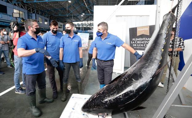 El atún rojo despiezado por Pescaderías La Alondra pesaba 325 kilos. 