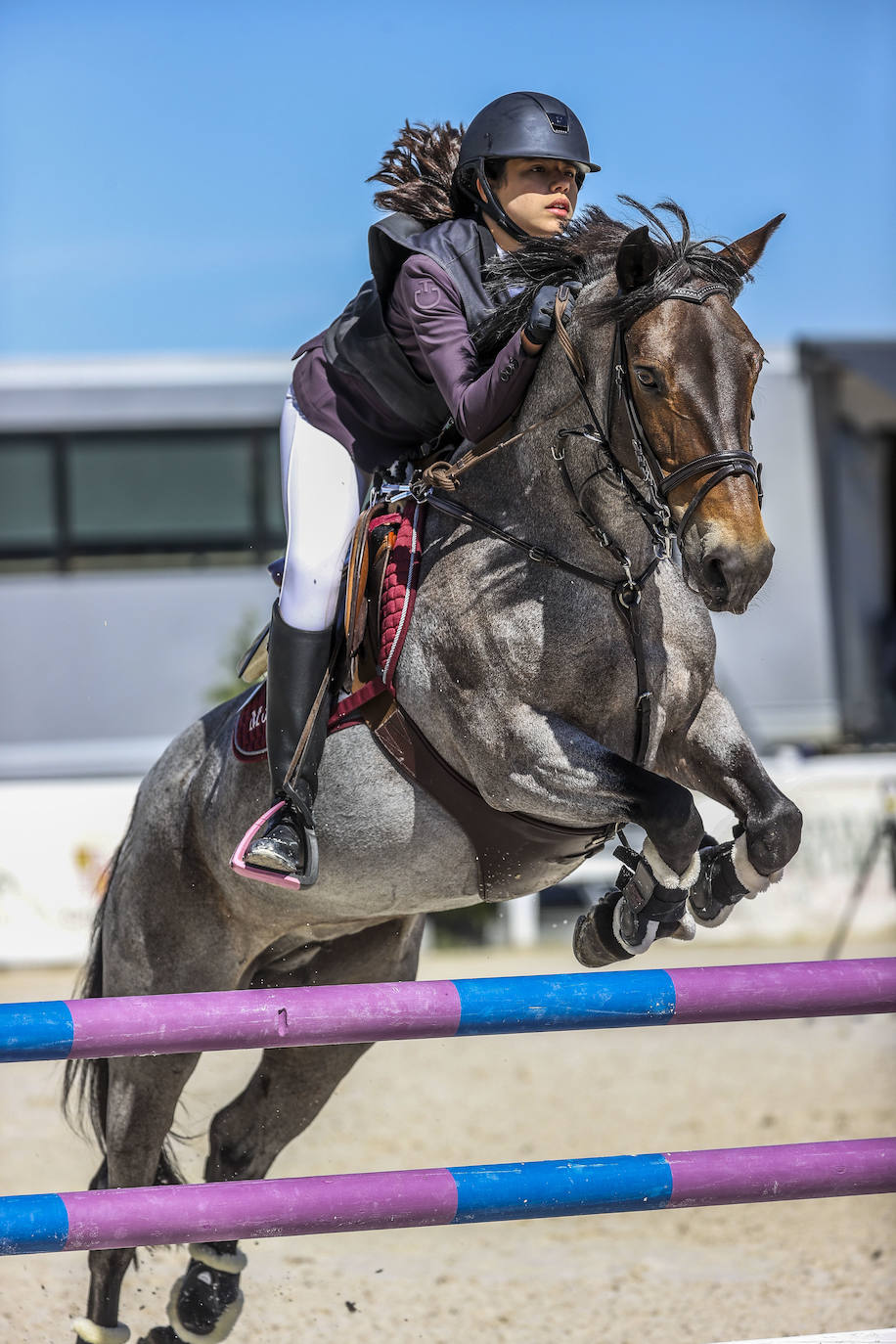 Fotos: Campeonato de España de Ponis celebrado en Valladolid