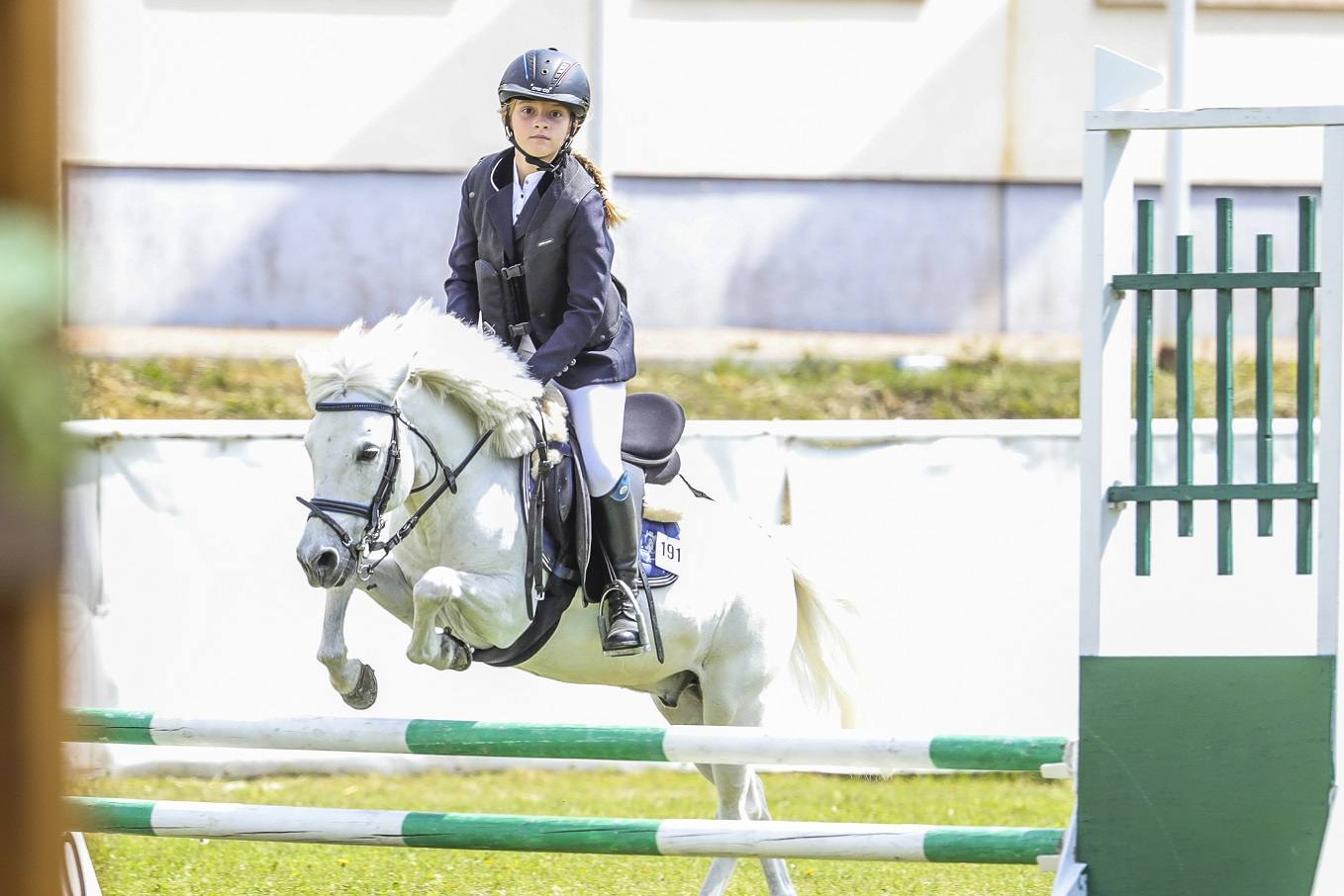 Fotos: Campeonato de España de Ponis celebrado en Valladolid