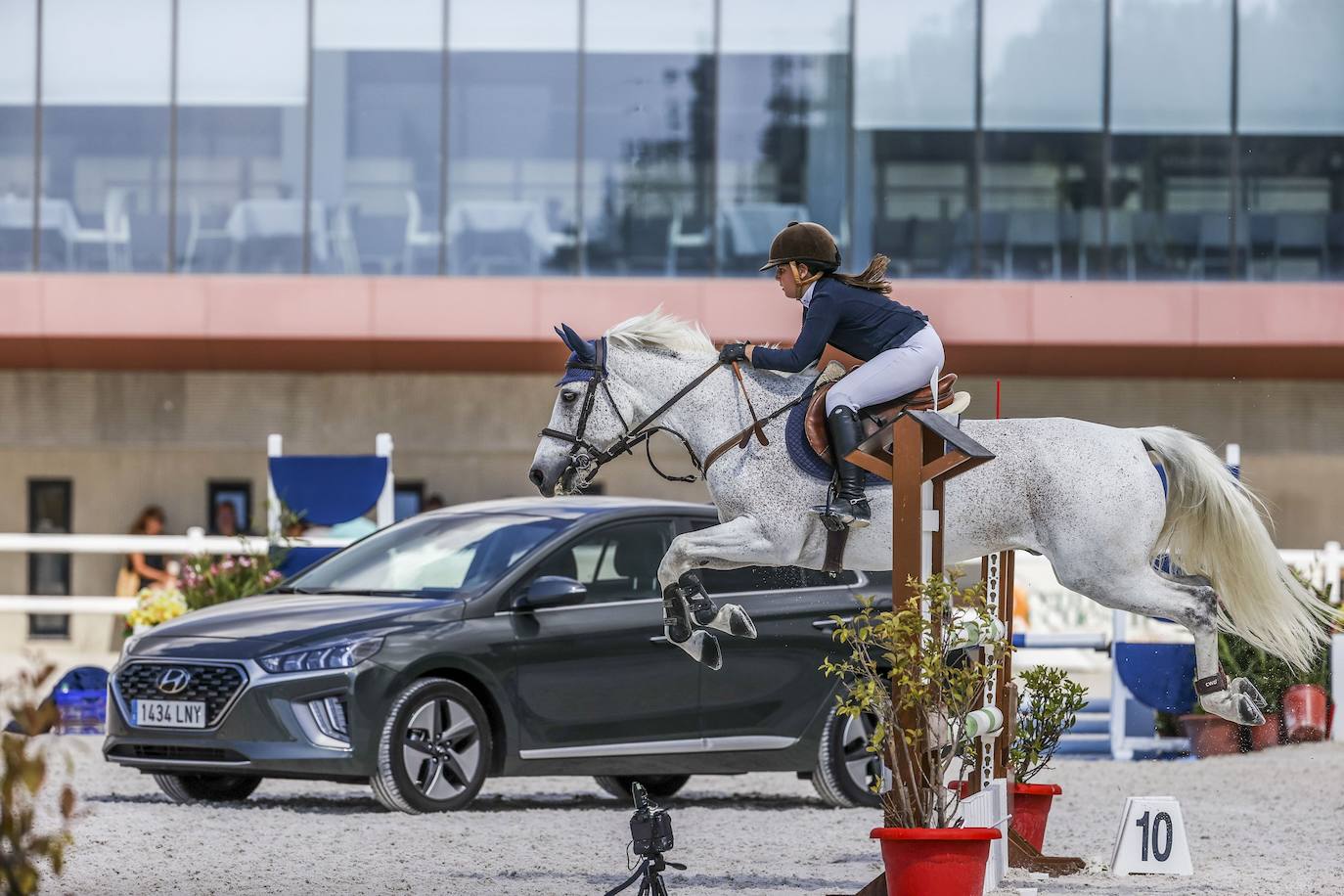 Fotos: Campeonato de España de Ponis celebrado en Valladolid