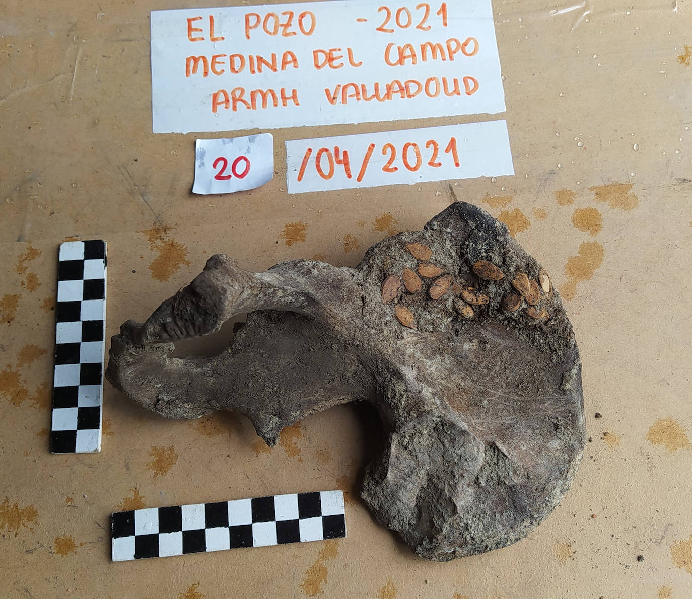 Fotos: Objetos hallados en el pozo de Medina del Campo del que se han rescatado treinta cuerpos de personas ejecutadas en la Guerra Civil