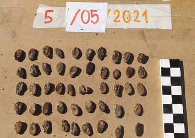 Imagen secundaria 1 - Zapatos, restos de comida y una peineta hallados en el pozo de Medina del Campo.