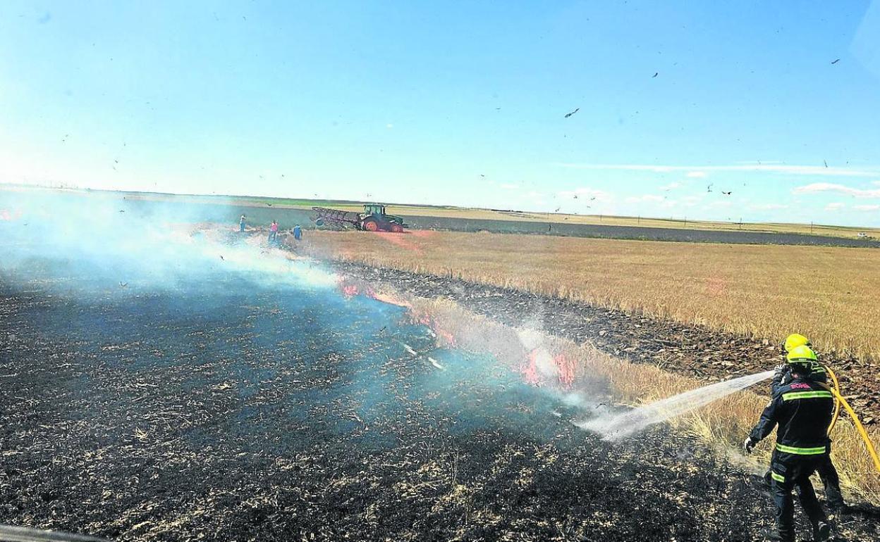 Un incendio calcina cuatro hectáreas de cereal en Paredes de Nava
