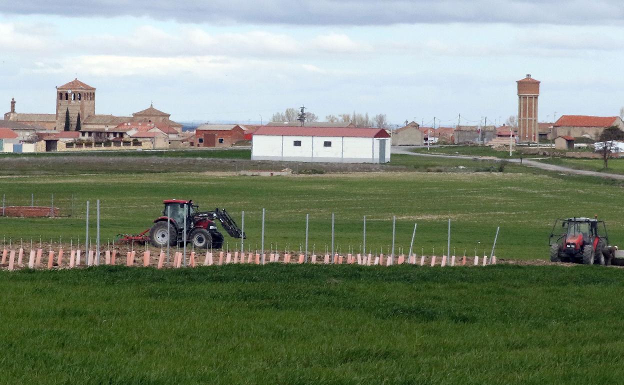 Agricultores en la provincia de Segovia. 