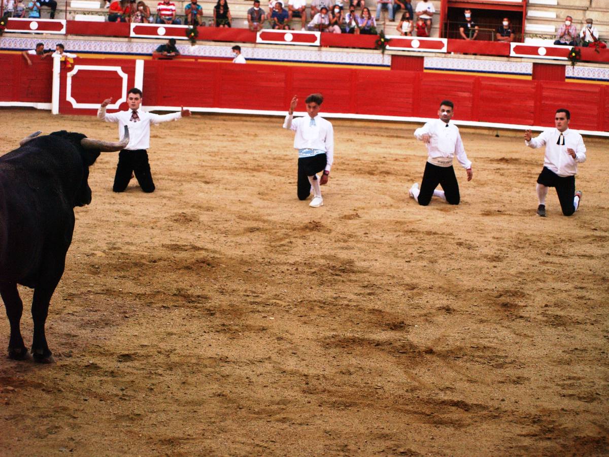 Fotos: Concurso goyesco de cortes de novillos de Pedrajas de San Esteban