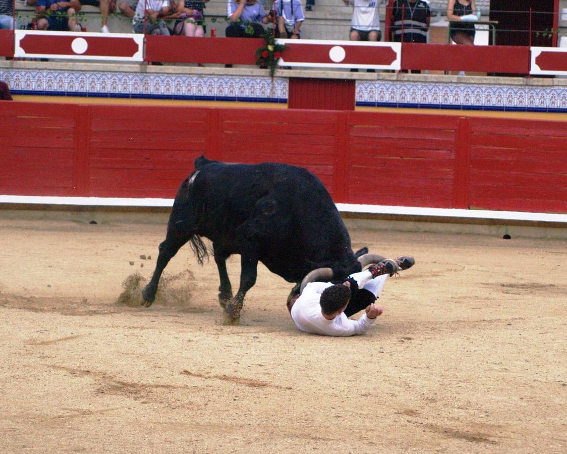 Fotos: Concurso goyesco de cortes de novillos de Pedrajas de San Esteban