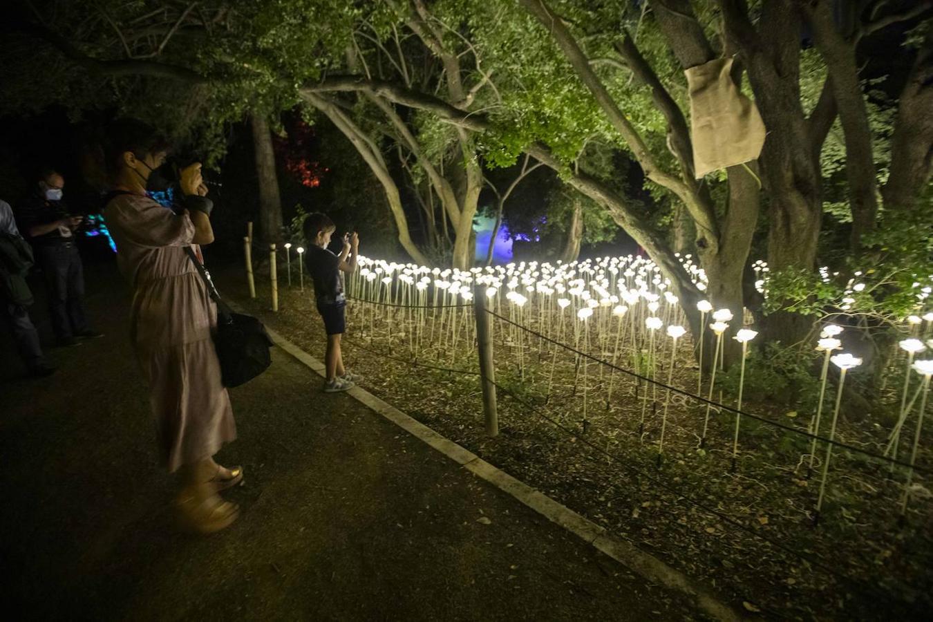 El Jardín Mágico, de Rodrigo Tamariz, en el Campo Grande.