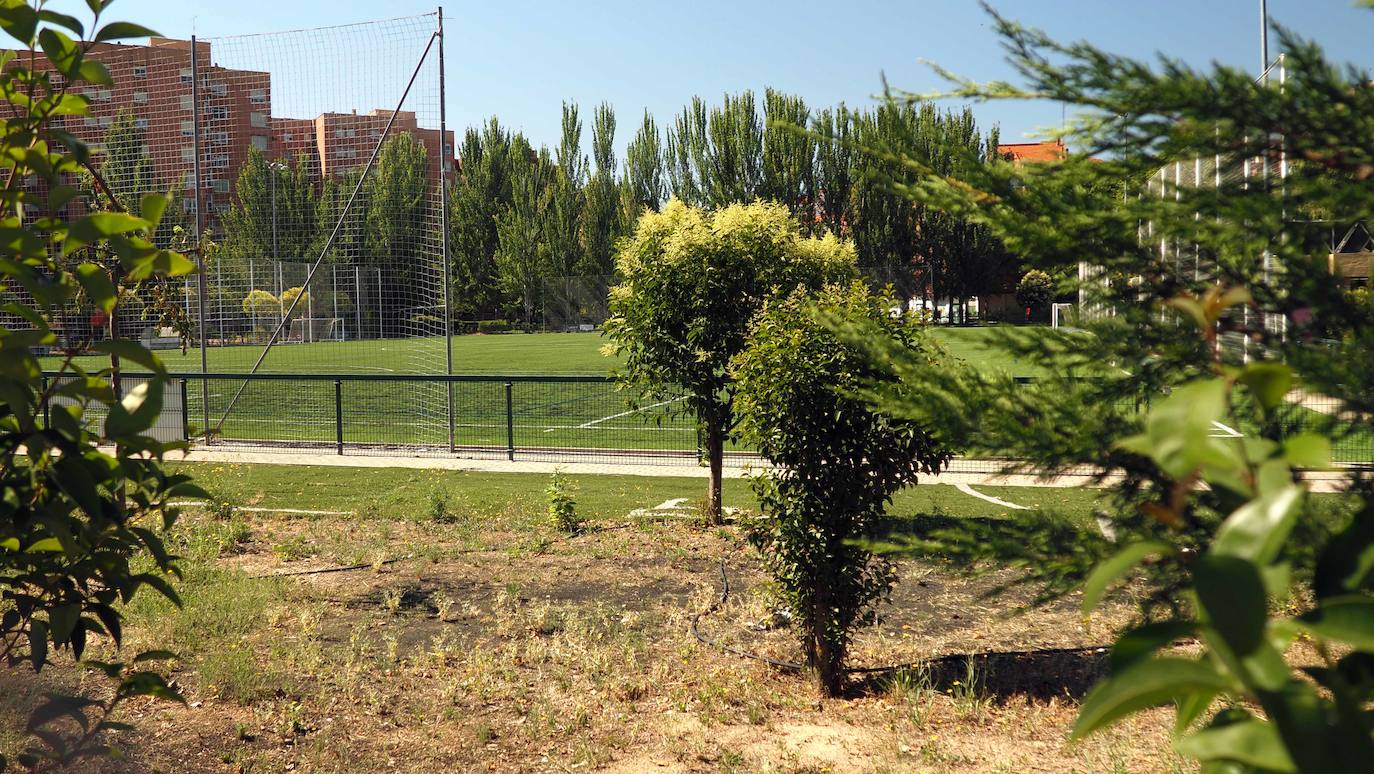 Este distrito vallisoletano se llama así por la abundancia de garanza, una planta con flor amarilla