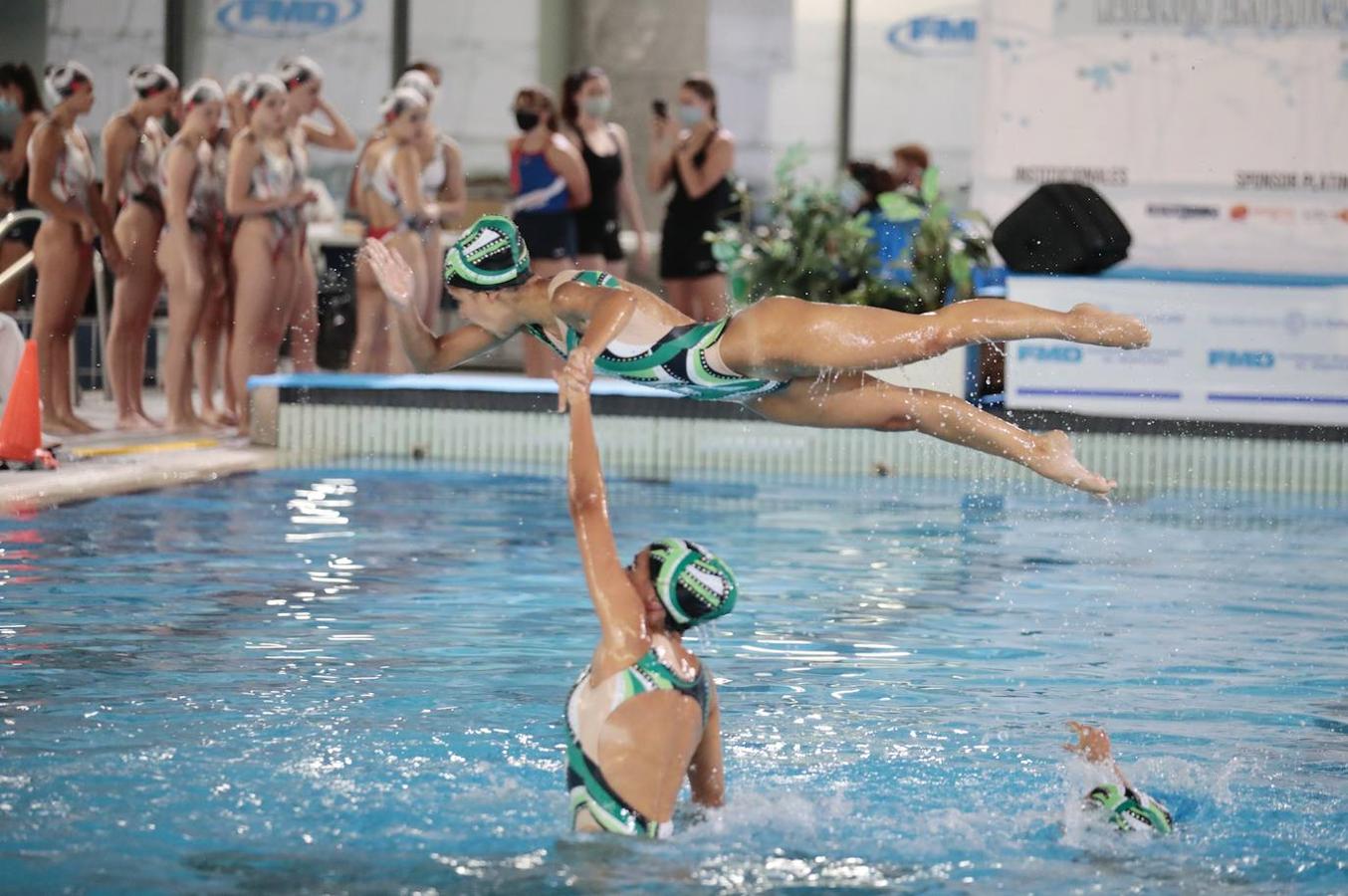 IX Campeonato de España de Natación Artística en piscina cubierta