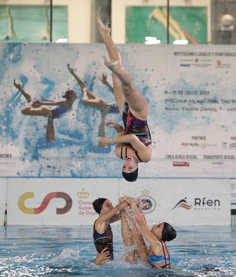 IX Campeonato de España de Natación Artística en piscina cubierta