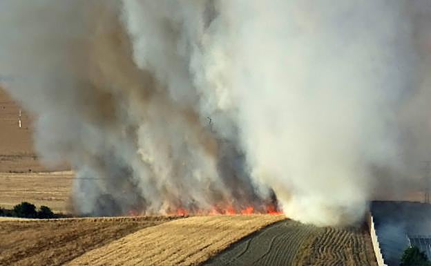 Superficie afectada por el incendio. 