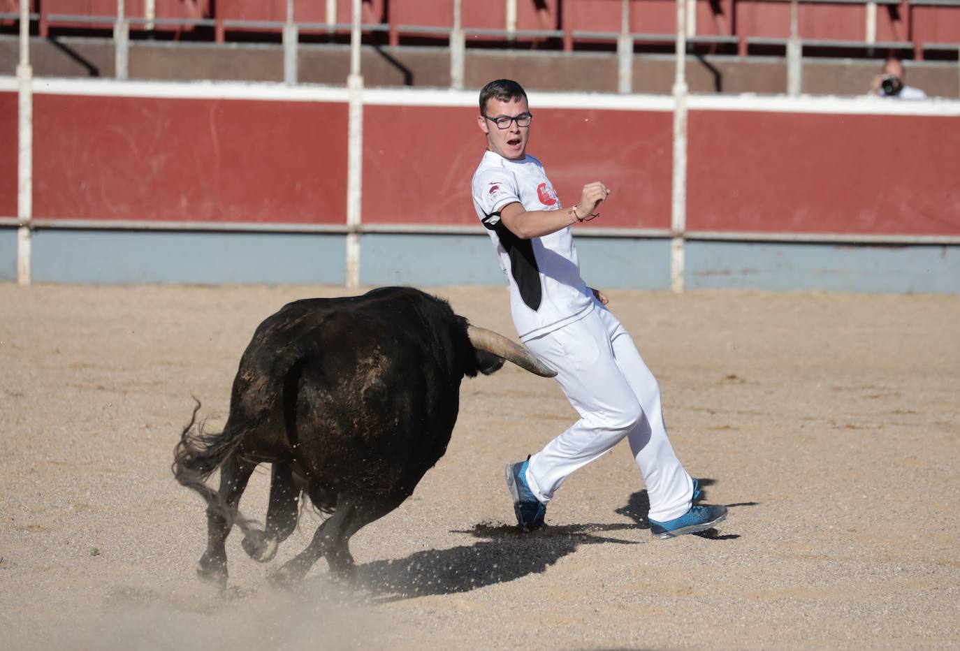 Fotos: Concurso de cortes en Cigales en honor a Santa Marina