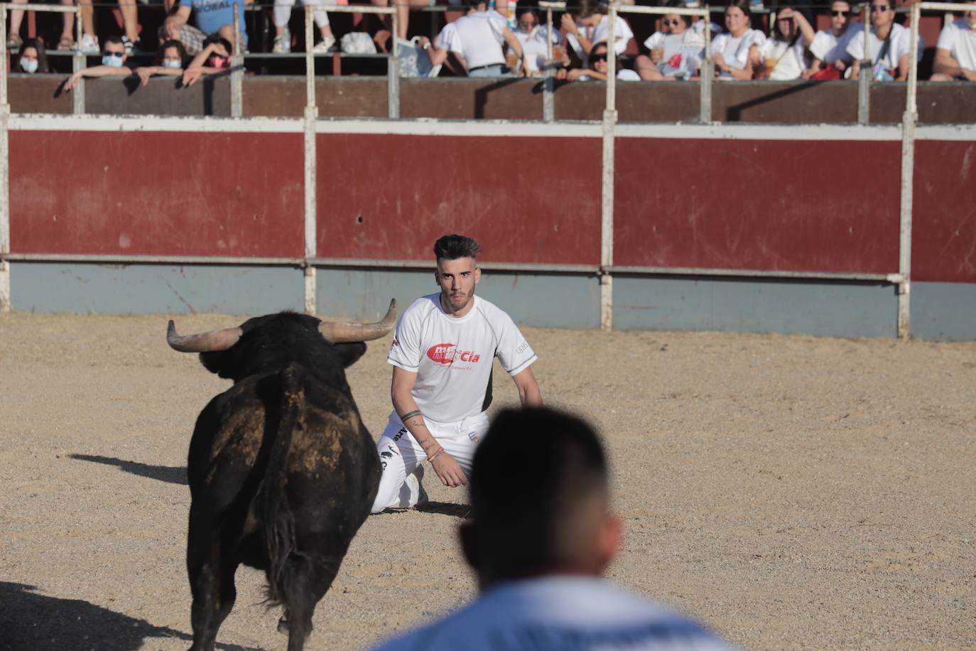 Fotos: Concurso de cortes en Cigales en honor a Santa Marina