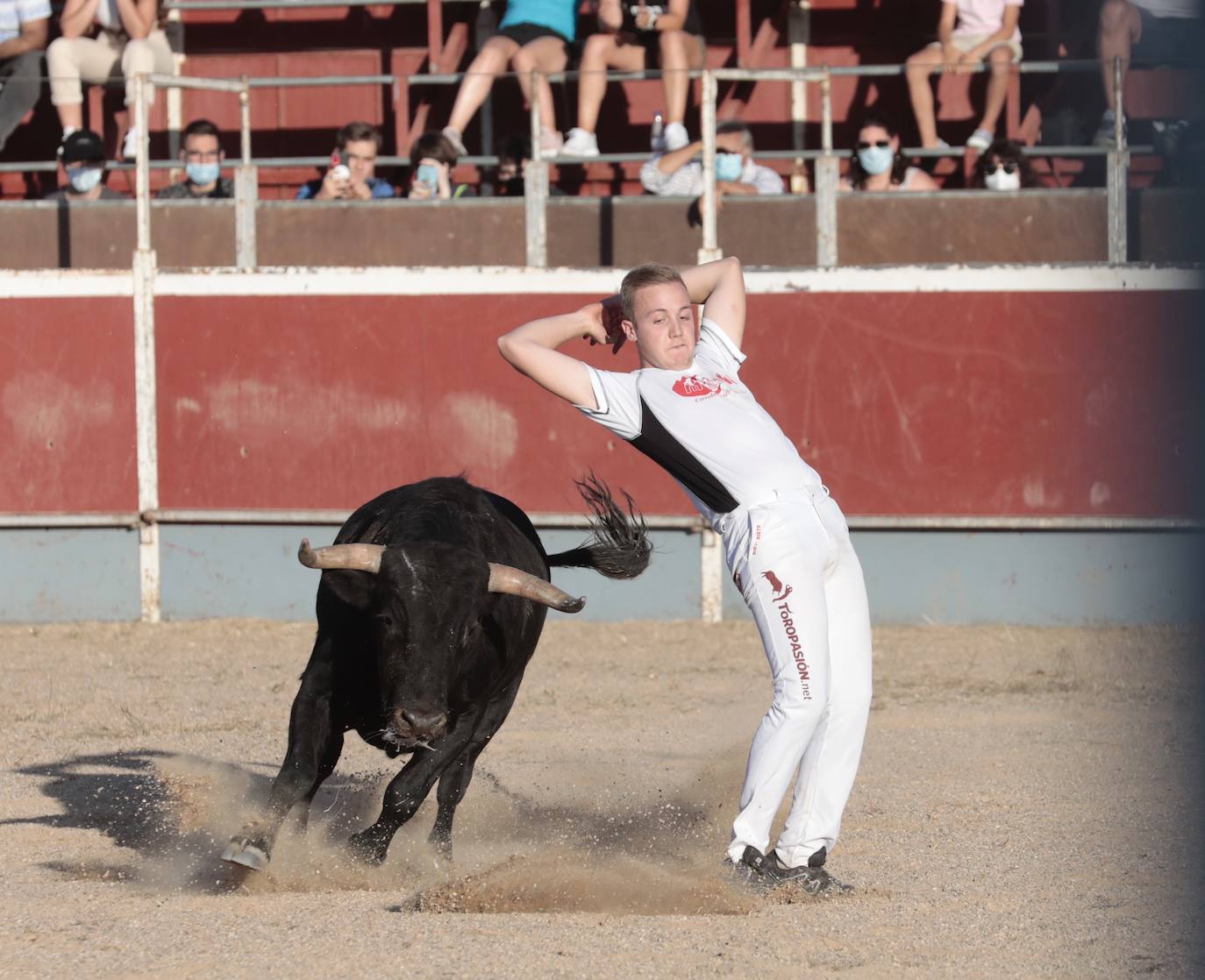 Fotos: Concurso de cortes en Cigales en honor a Santa Marina