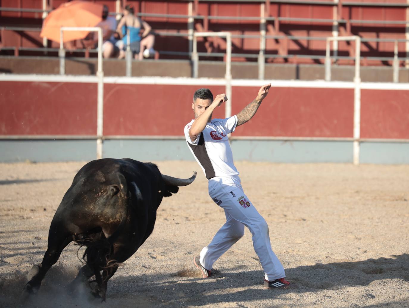 Fotos: Concurso de cortes en Cigales en honor a Santa Marina