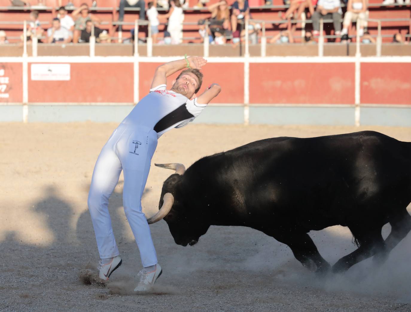 Fotos: Concurso de cortes en Cigales en honor a Santa Marina