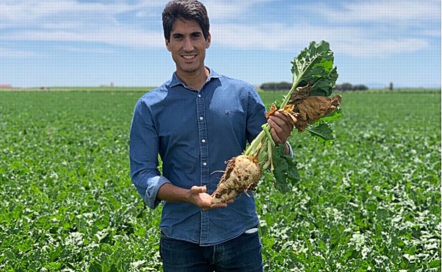 Óscar Olivar, técnico de Acor muestra el estado de la remolacha. 