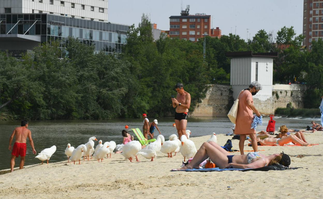 Calor en la Playa de las Moreras de Valladolid. 