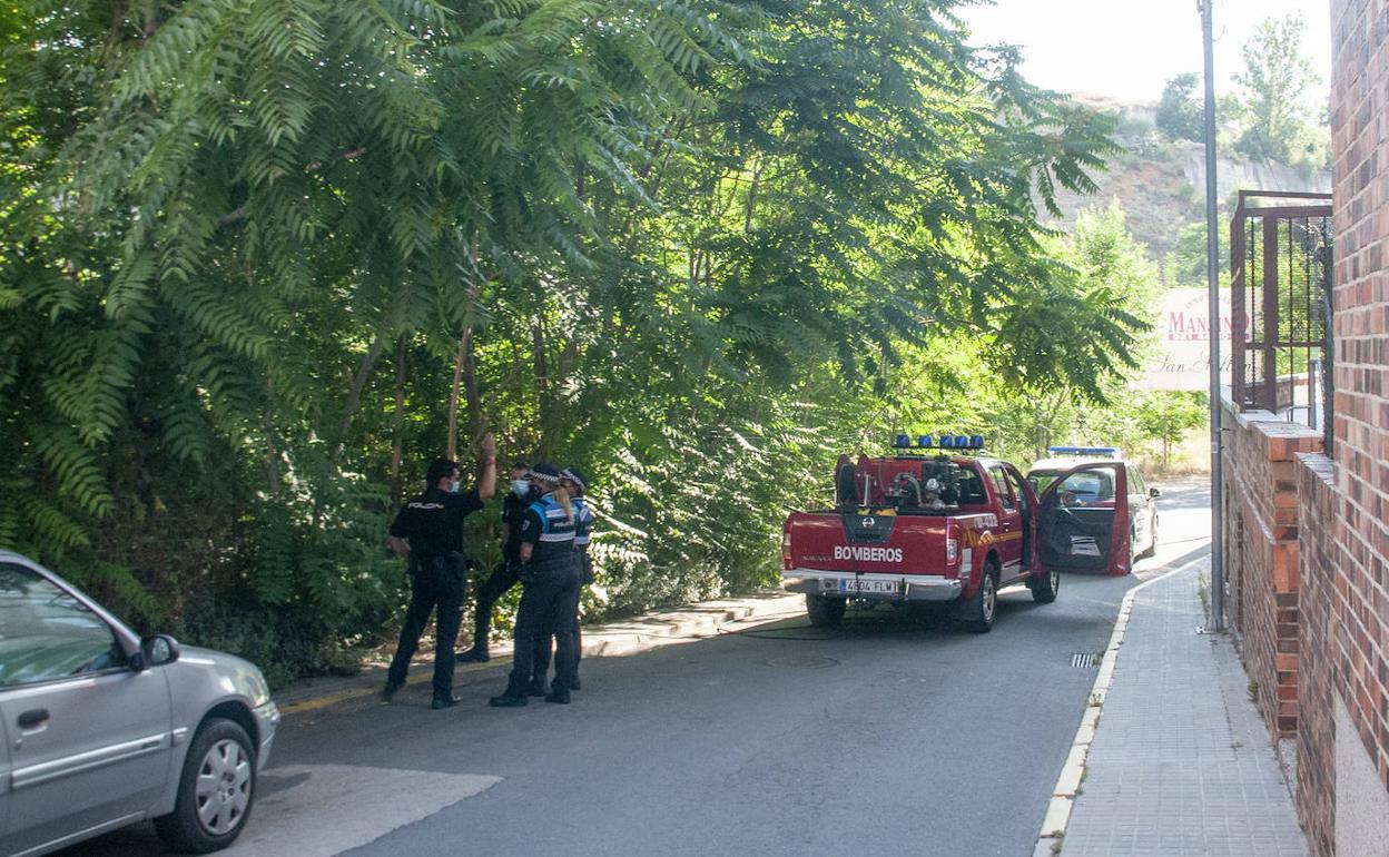 Bomberos y Policía Local controlan el conato de incendio de este lunes en la calle Velódromo. 