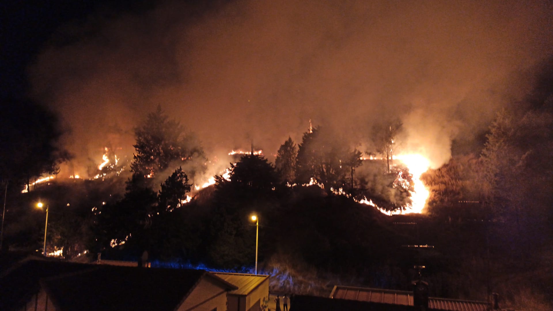 Fotos: Un incendio intencionado devora los aledaños del Castillo de Burgos