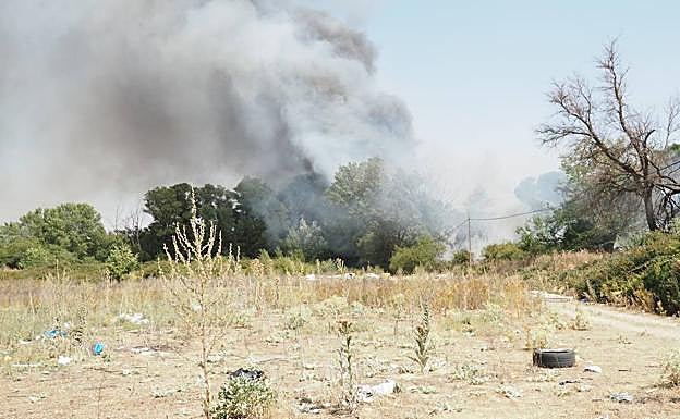 Imagen principal - Arde un vertedero en la zona trasera del Benito Menni