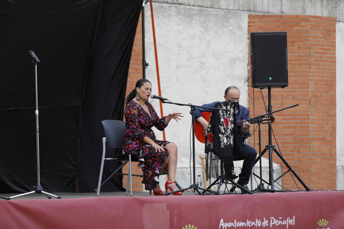Fotos: Presentación del cartel de las fiestas de Peñafiel