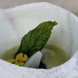 Gazpacho de melón de El Ermitaño. 