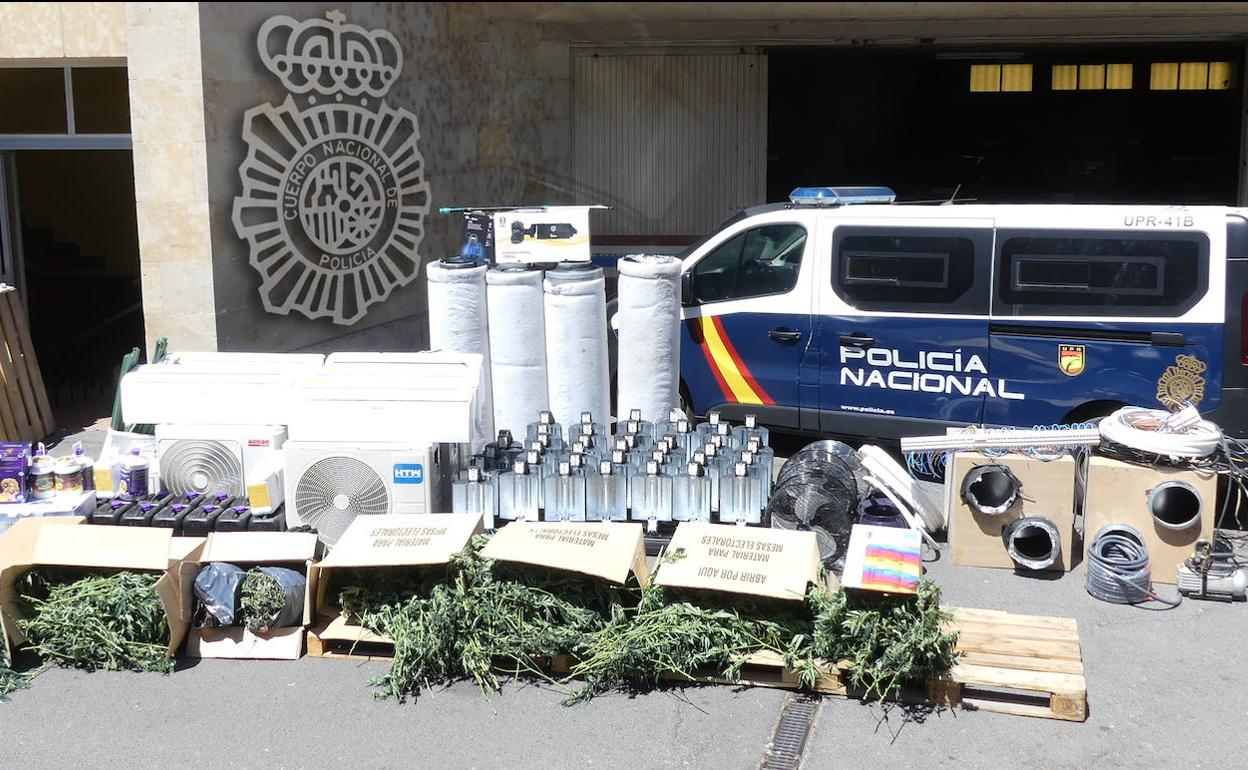 Tres detenidos tras el hallazgo en Salamanca de una nave industrial con más de un millar de plantas de marihuana
