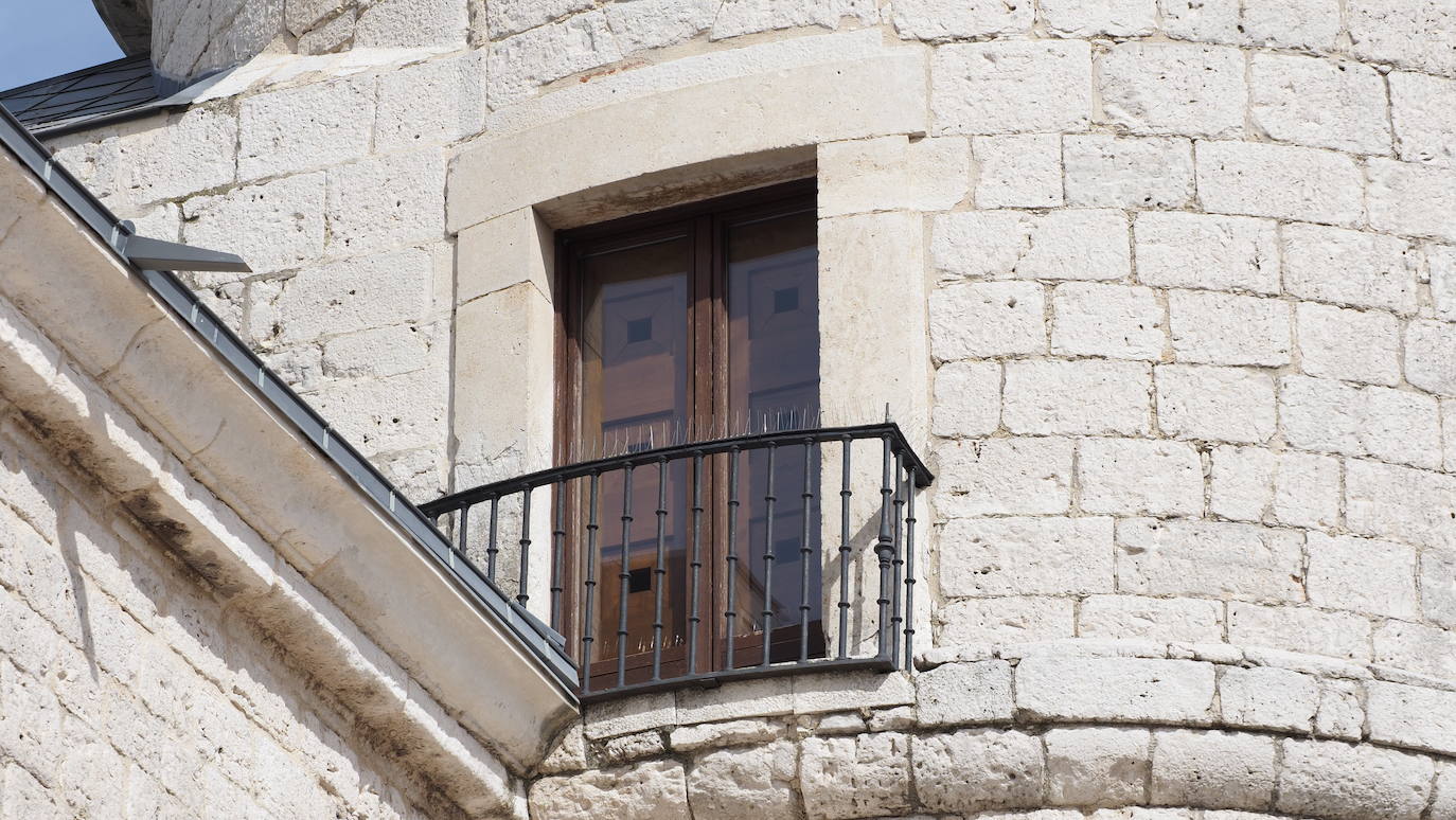 Detalles de la fortaleza que hemos visitado esta semana 