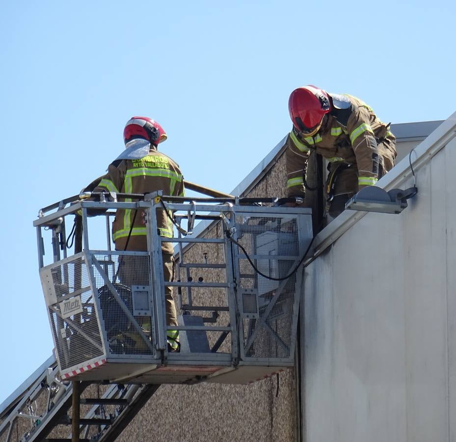 Fotos: Incendio en una empresa de palés del Polígono de San Cristóbal de Valladolid