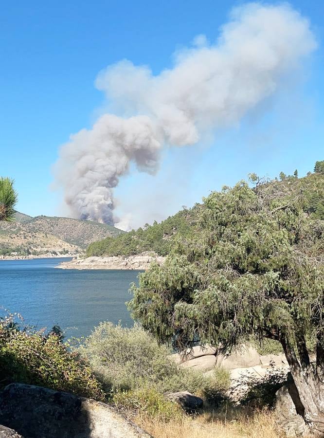 Fotos: Incendio en la localidad abulense de El Tiemblo